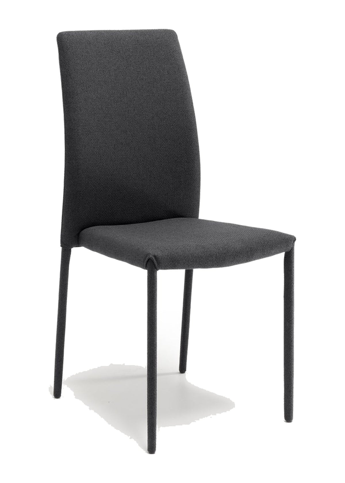 Dining Chair Leda Domestica – Front View on White