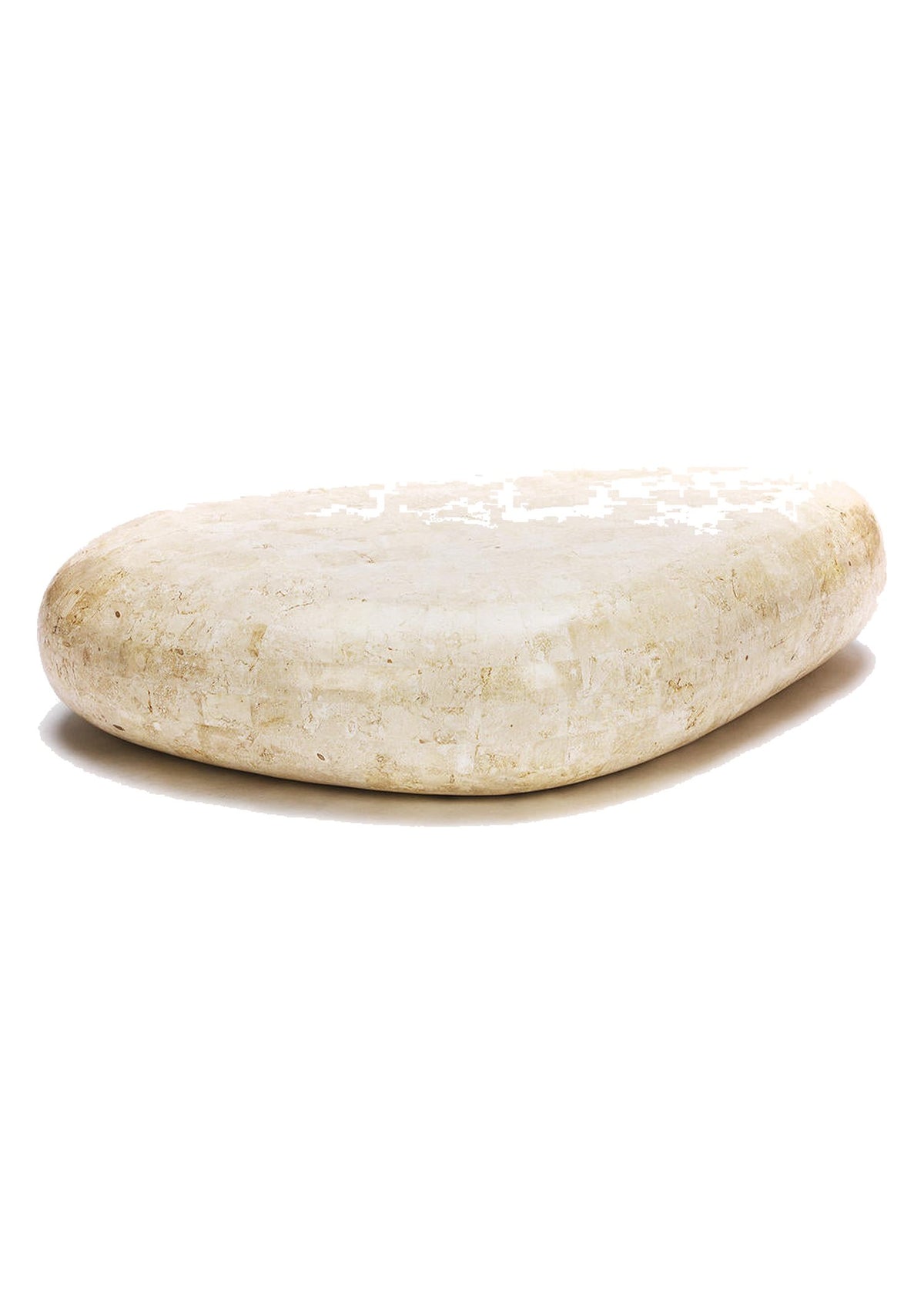 Coffee Table Sasso Big Fossil Stone Domestica – Front View on White