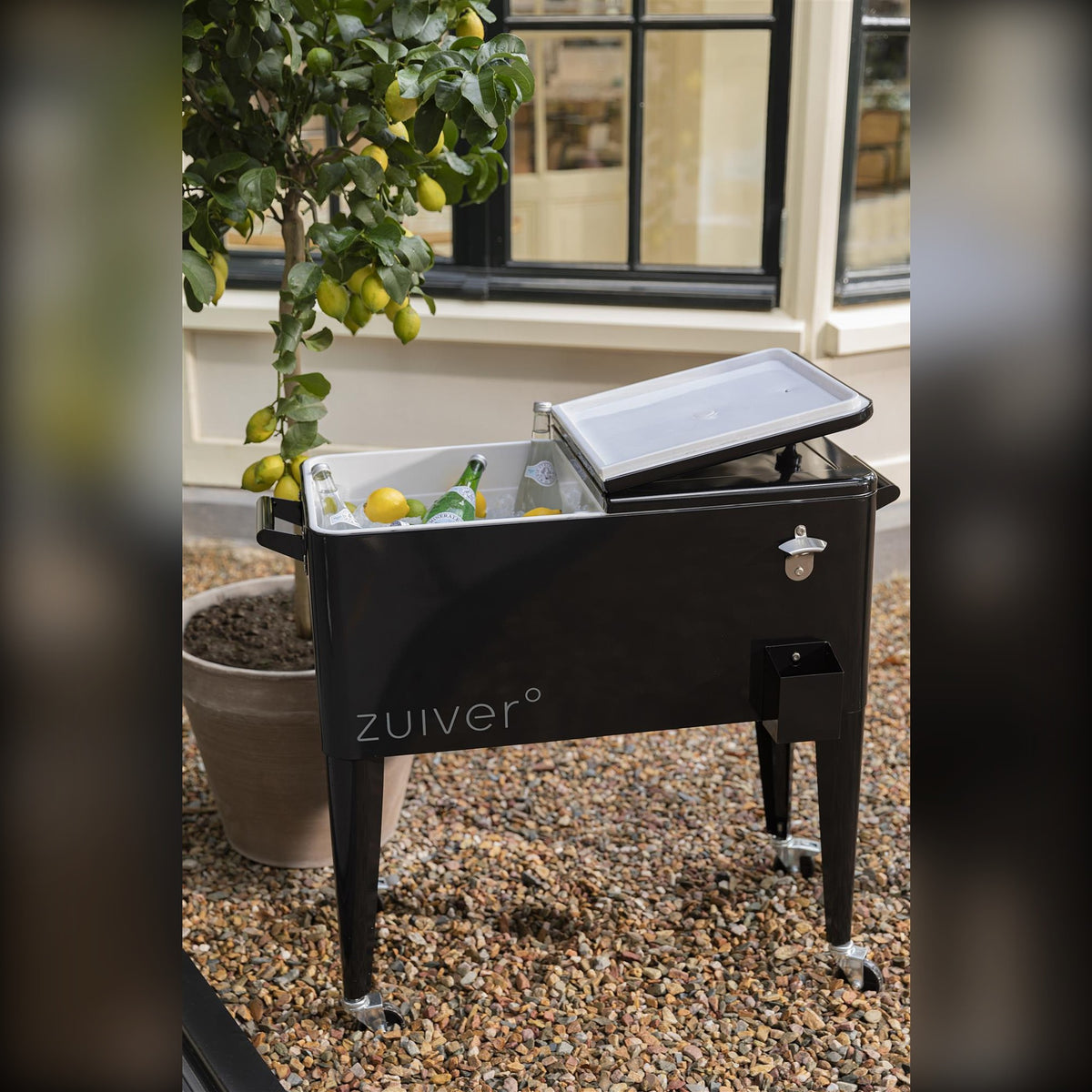 Cooler Be Cool Black Domestica – Lifestyle – Open with Drinks Under a Lemon Tree