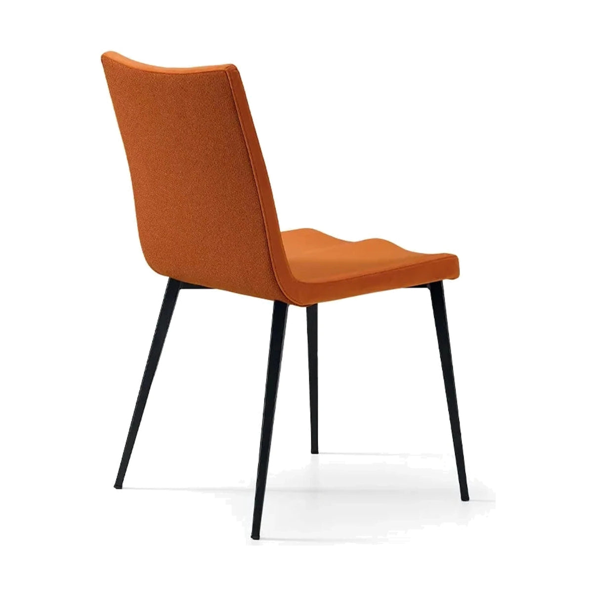 Dining Chair Haru – Haru front view on white background