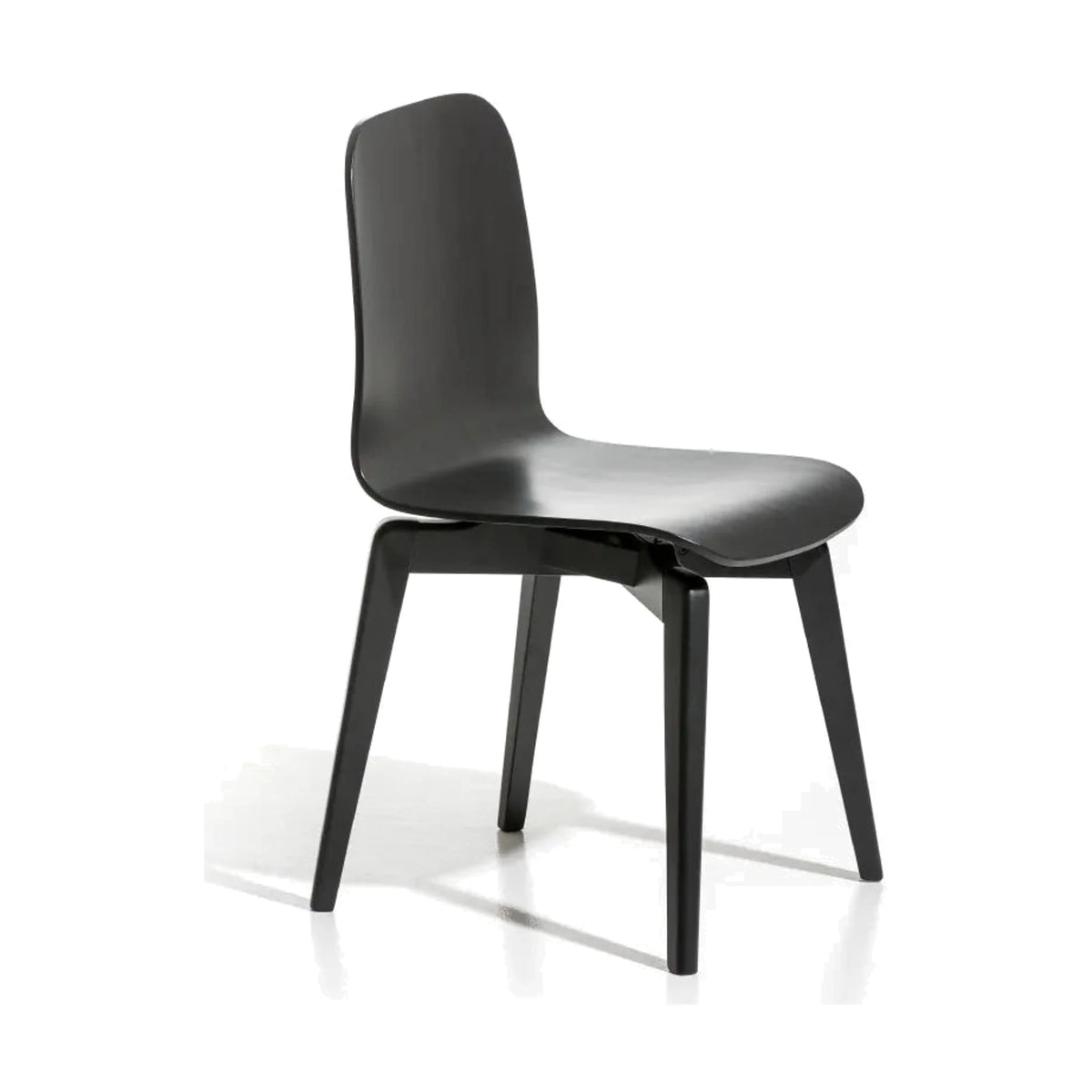 Dining Chair Ciao – Ciao Wood W front view on white background