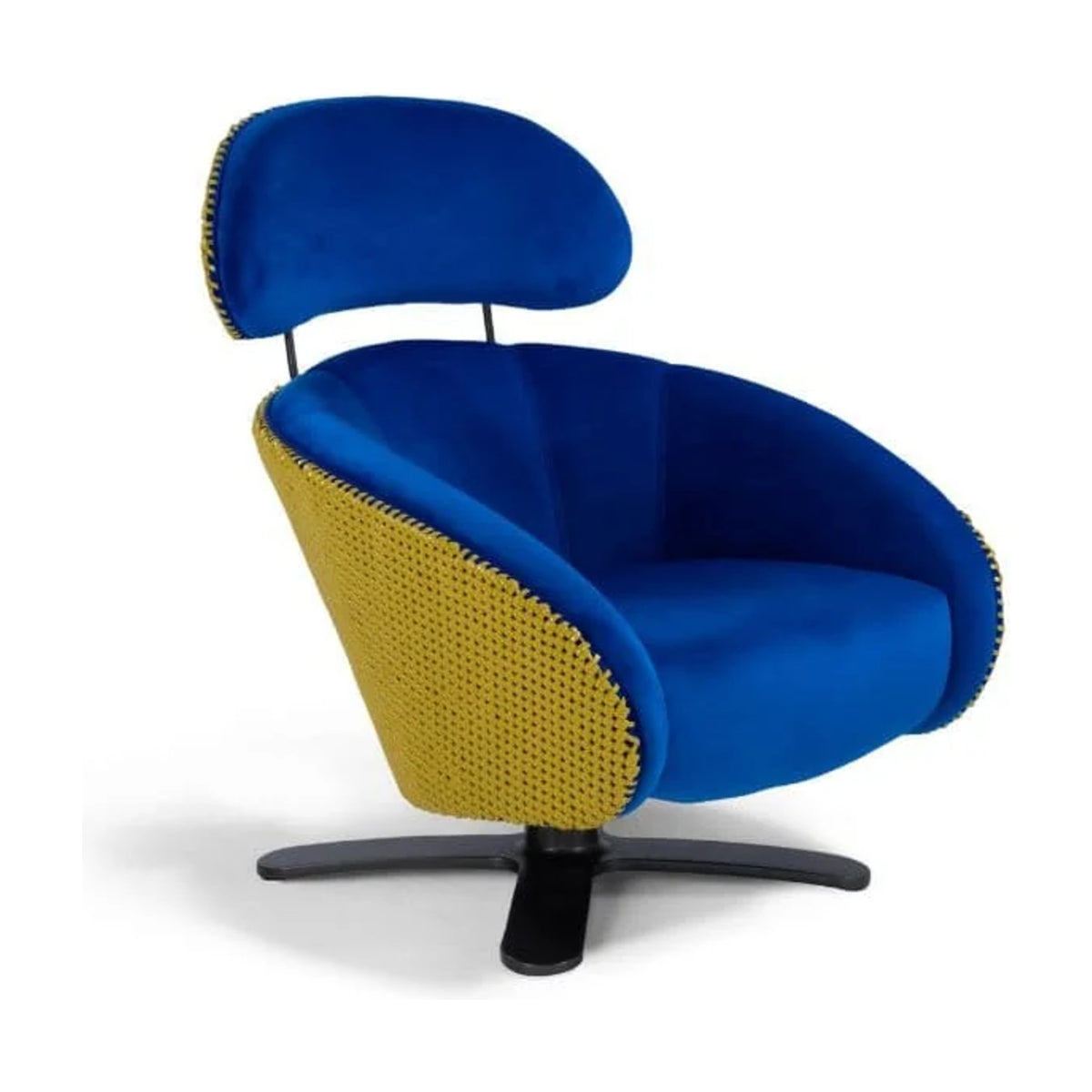 Coconut Domestica – Three Quarter View in Blue and Yellow on White