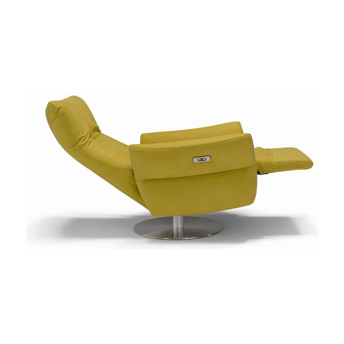 Ozzy Domestica – Side View, Reclined, on White