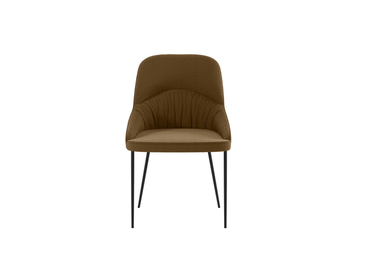 Dining Chair Ginevra Brown / Black Domestica – Front View on White