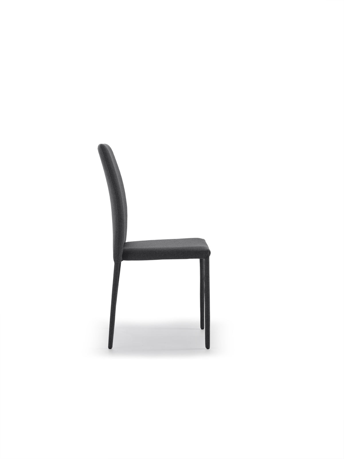 Dining Chair Leda Black Domestica – Product View on White