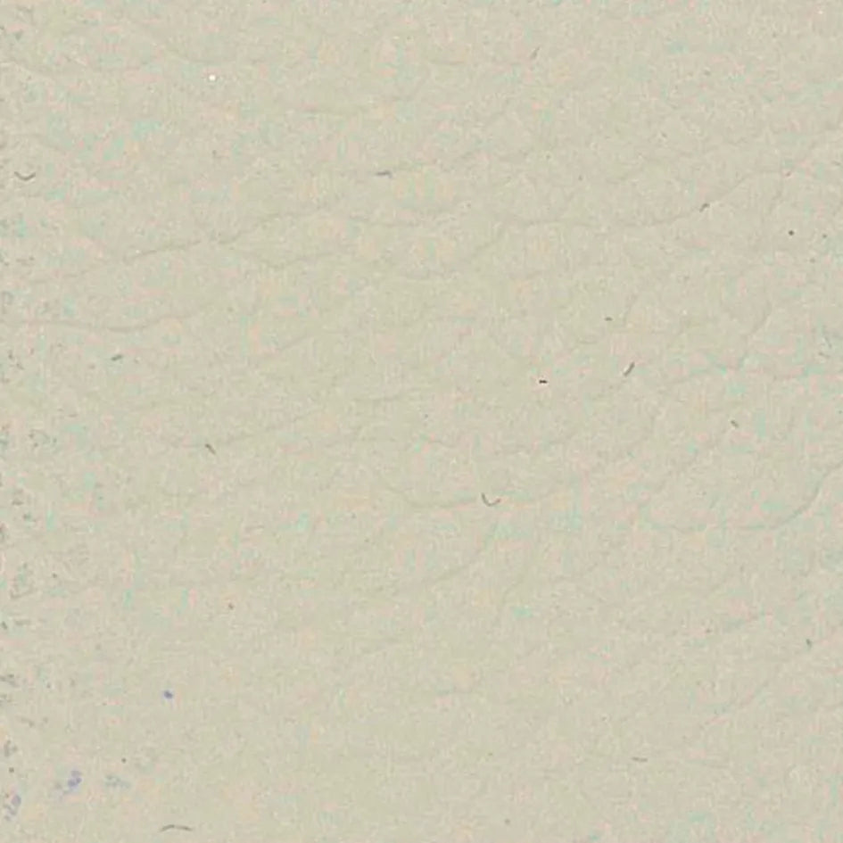 Leather White finish swatch – Natisa