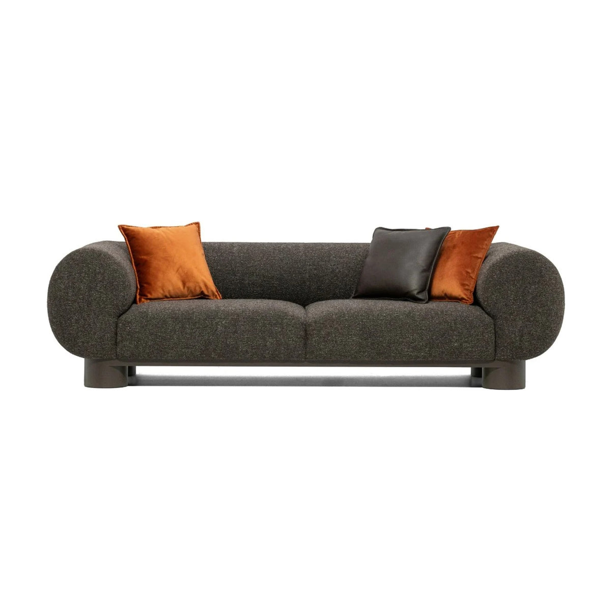 Aster Domestica – Front View on White with Orange Cushions