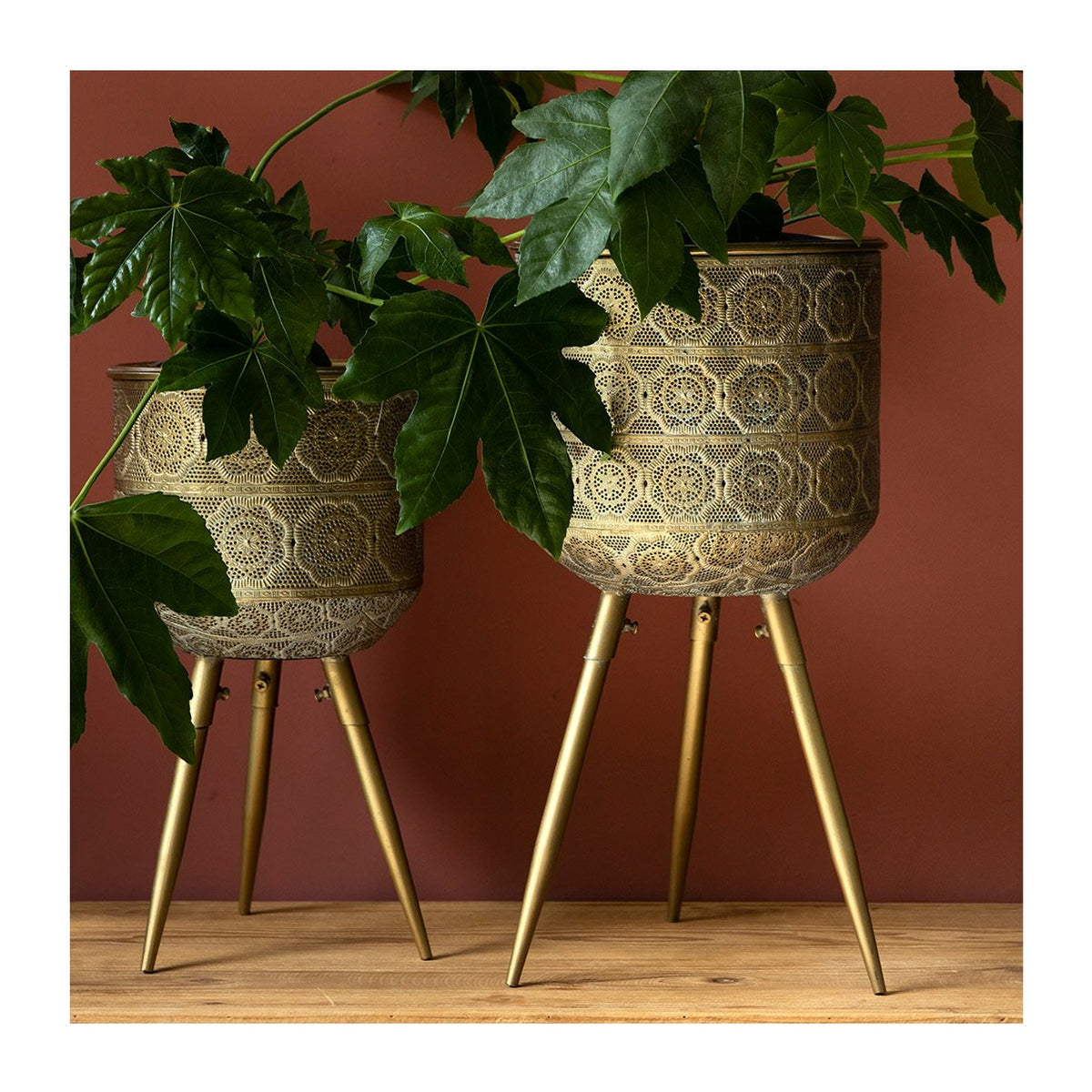 Plant Stand Botanique L Domestica – Lifestyle – Two Stands with Plants Against a Terracotta Wall