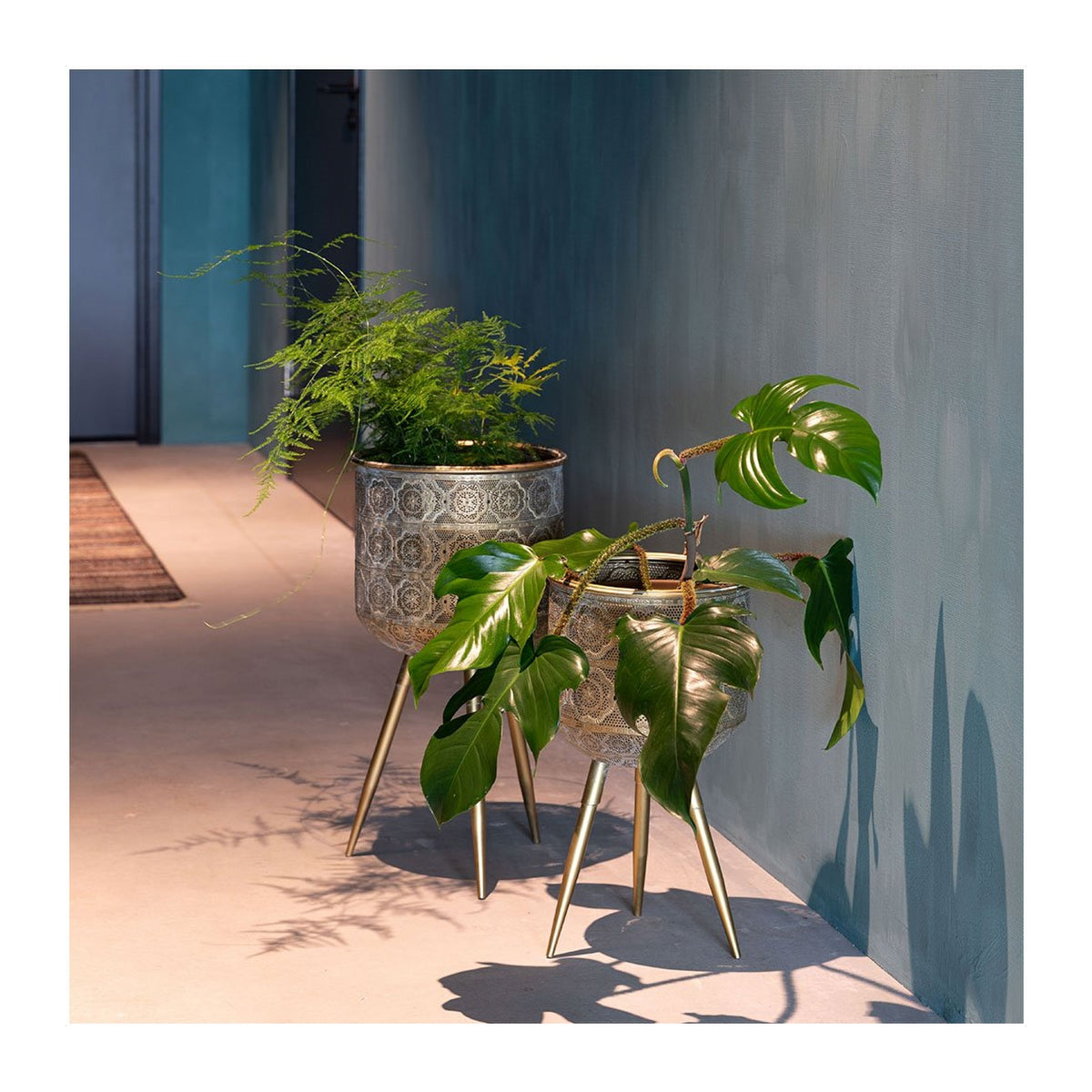 Plant Stand Botanique L Domestica – Lifestyle – Two Stands with Plants in a Blue Hallway