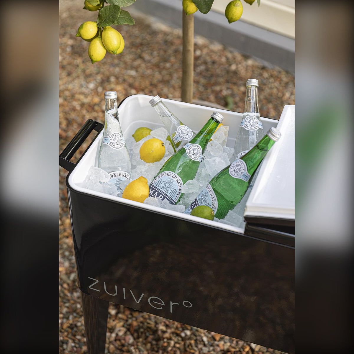 Cooler Be Cool Black Domestica – Lifestyle – Filled with Ice, Lemons and Bottles