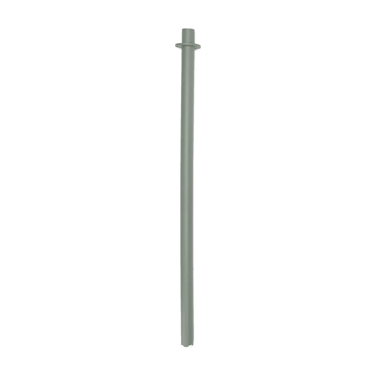 Edison the Giant Pole Grey Domestica – Pole on White – Colour Digitally Matched