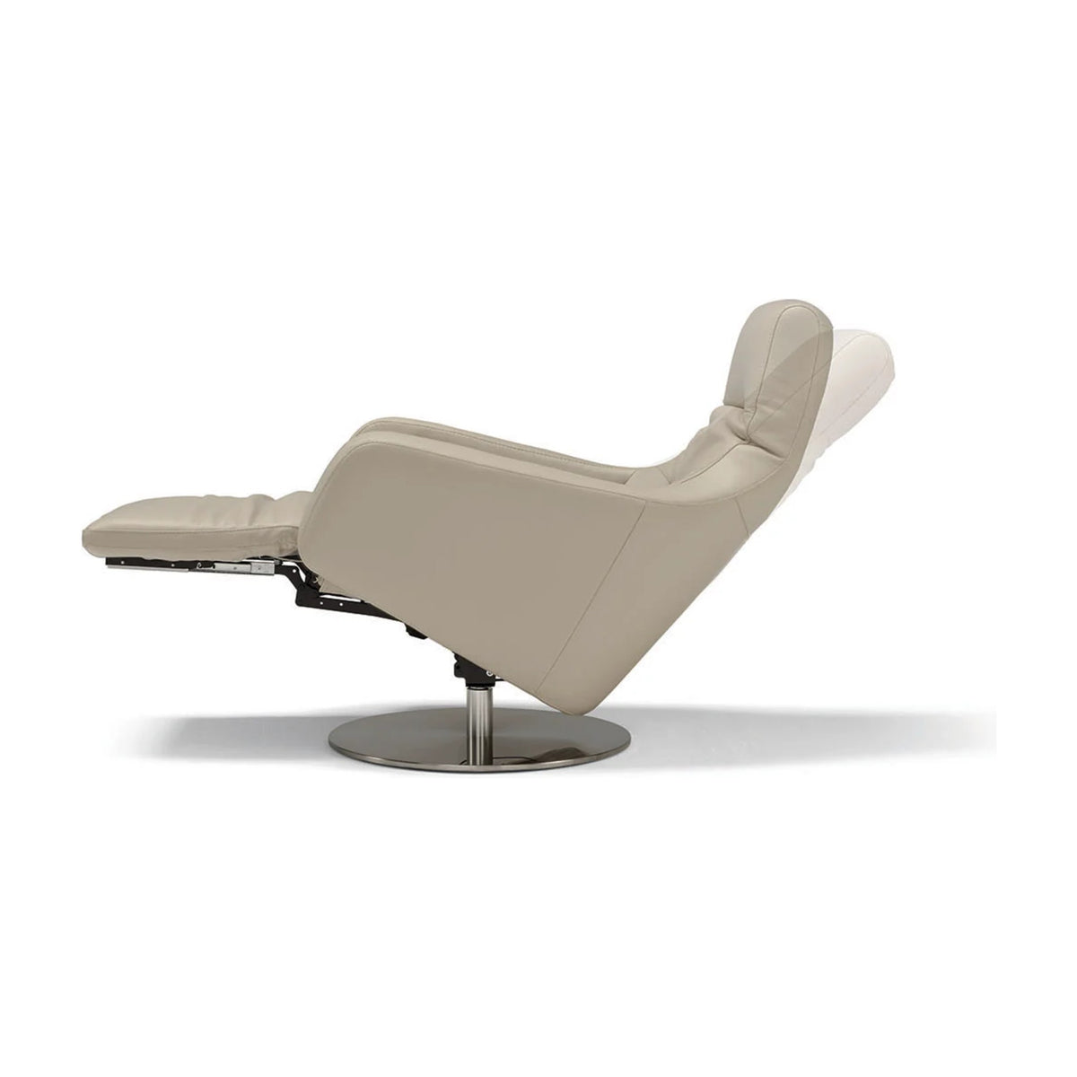 Nora Domestica – Side View Reclined on White