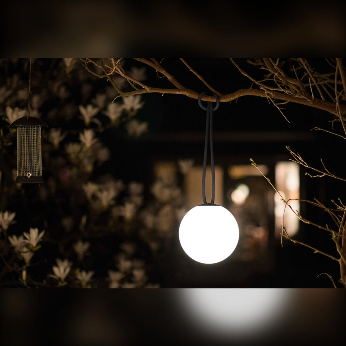 Bolleke Anthracite Domestica – Lifestyle – Lit, Hanging from a Branch at Night
