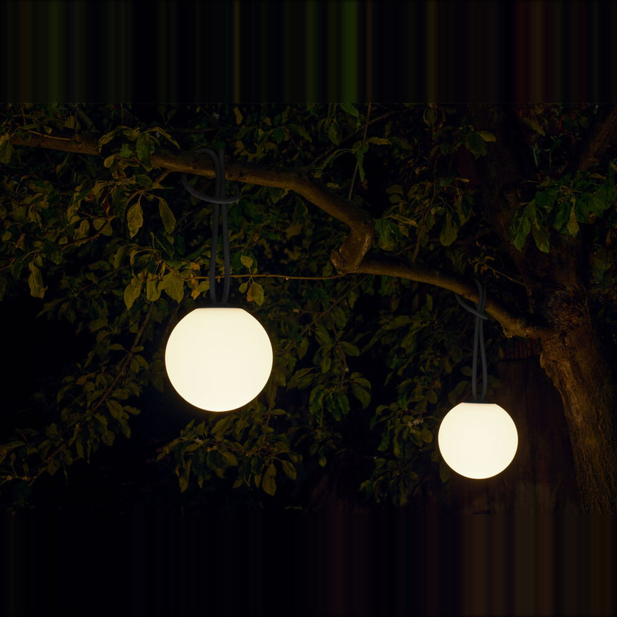 Bolleke Anthracite Domestica – Lifestyle – Two Lamps Lit in a Tree at Night