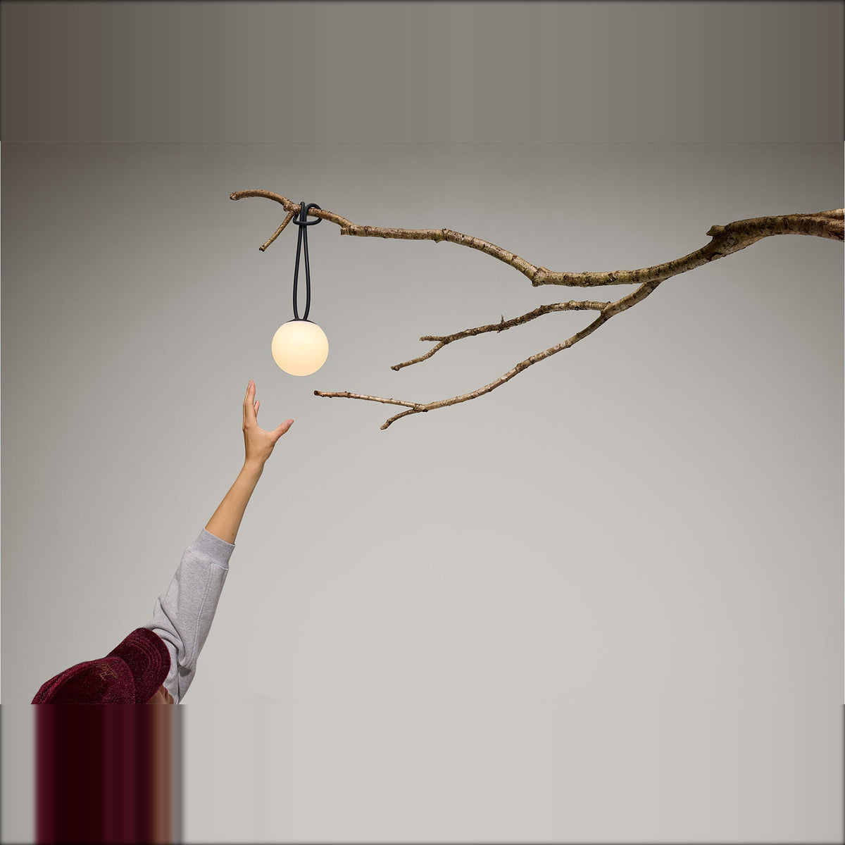 Bolleke Mini La Surprise Anthracite Domestica – Lifestyle – Person Hanging the Lamp on a Branch