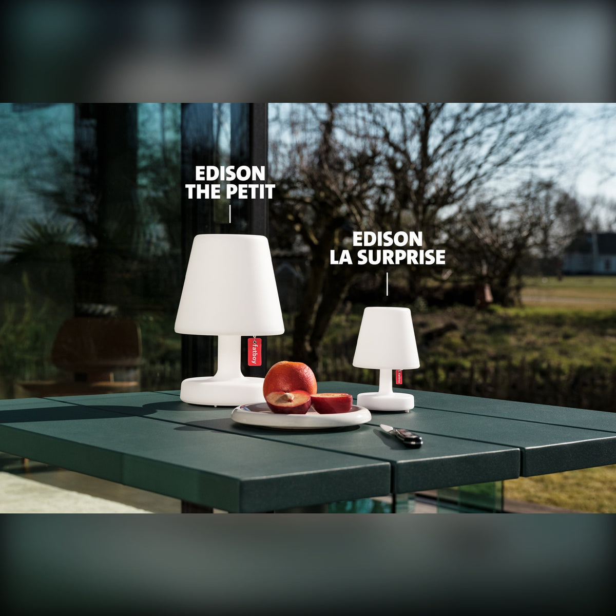 Edison la Surprise Domestica – Lifestyle – Beside Edison the Petit on an Outdoor Table