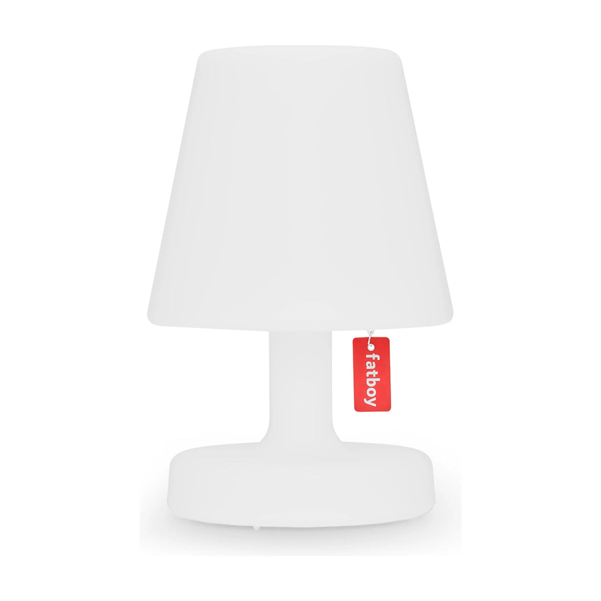 Edison the Petit White Domestica – Front View on White
