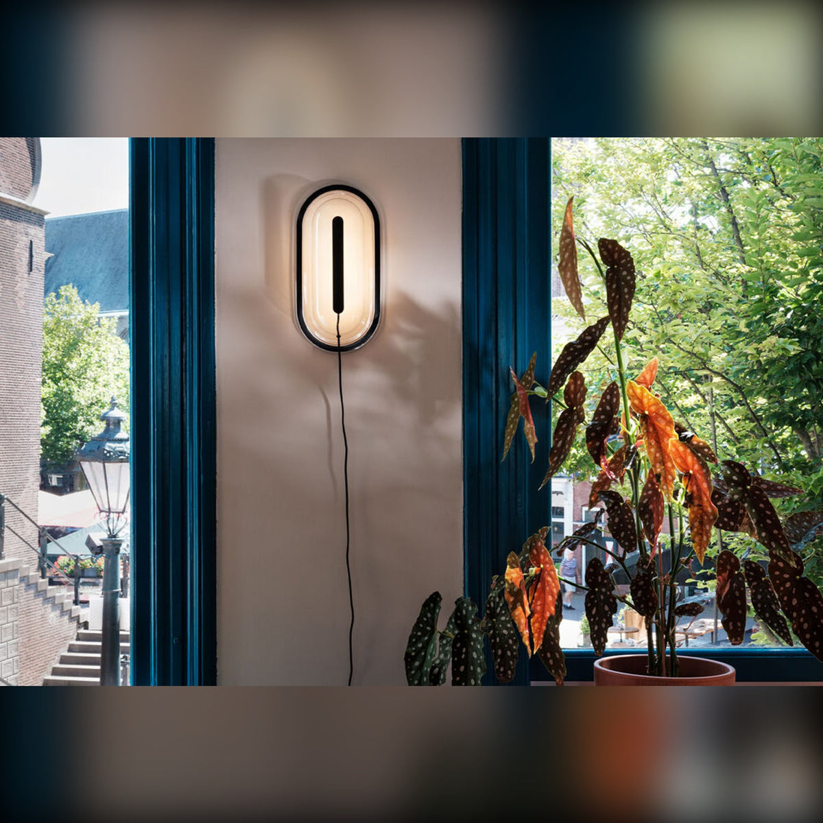Led's Strip Anthracite Domestica – Lifestyle – On a Wall by a Window with Plants