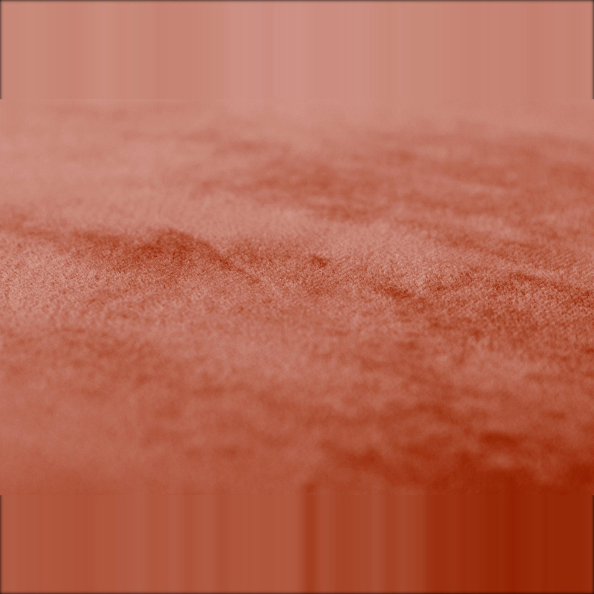 Point Velvet Recycled Rhubarb Domestica – Velvet Texture Close-up