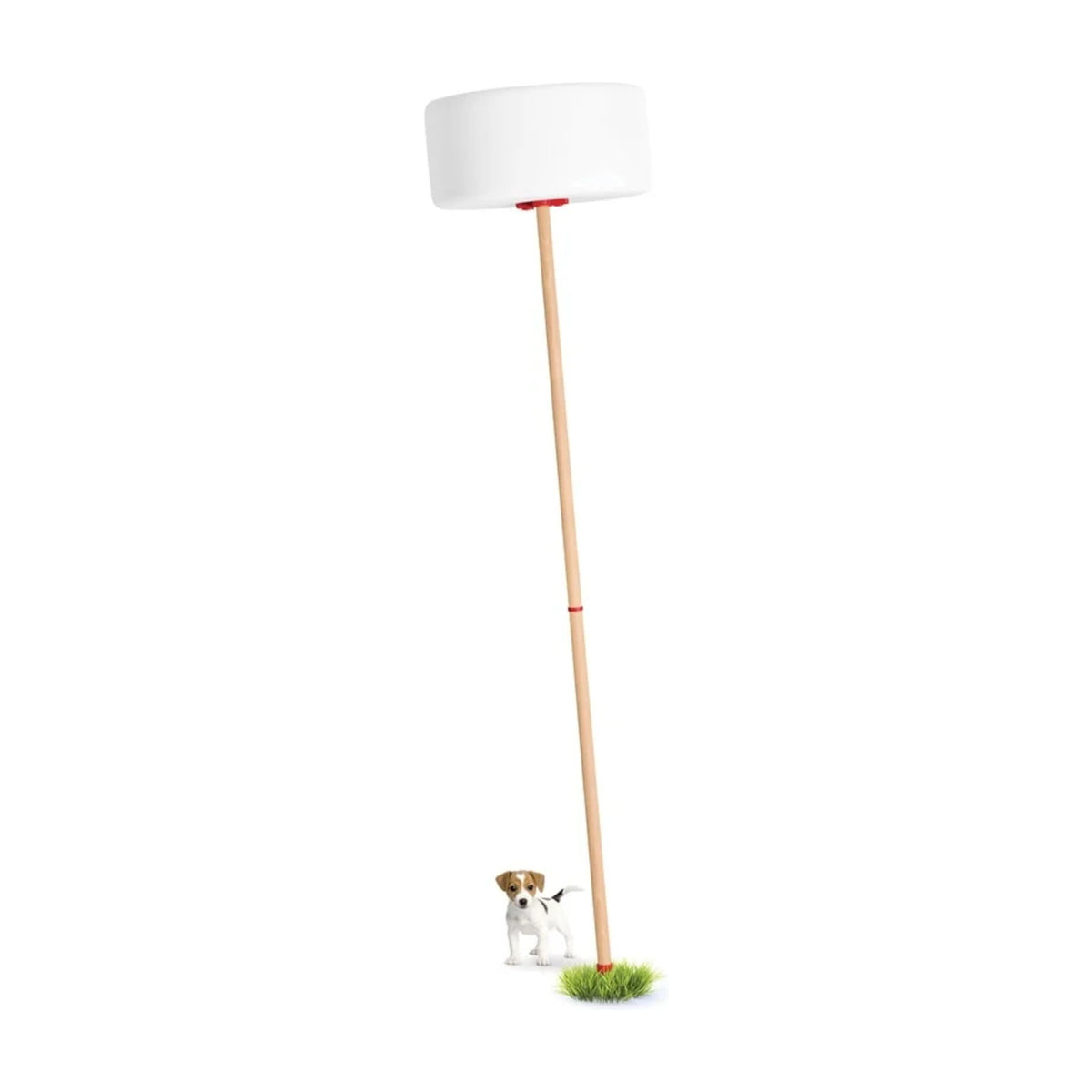 Thierry Le Swinger Red Domestica – On Its Wooden Pole with a Small Dog for Scale