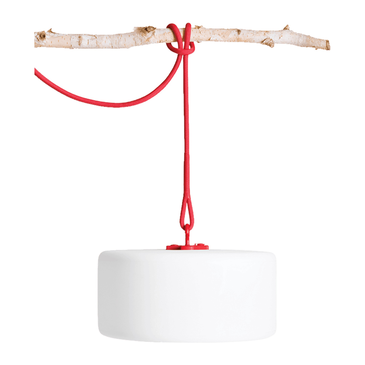 Thierry Le Swinger Red Domestica – Hanging from a Branch by Its Rope