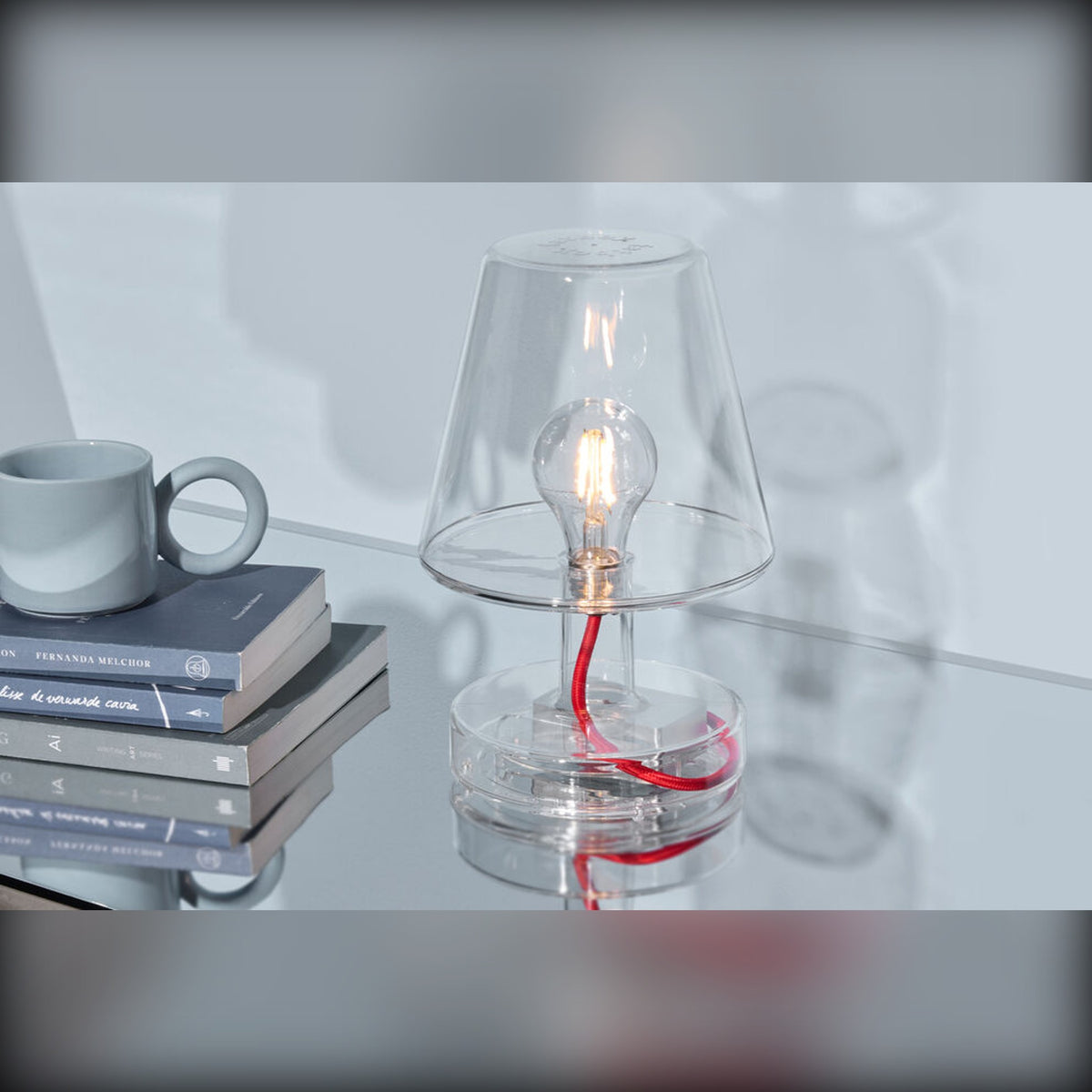 Transloetje Transparent Domestica – Lifestyle – On a Stack of Books