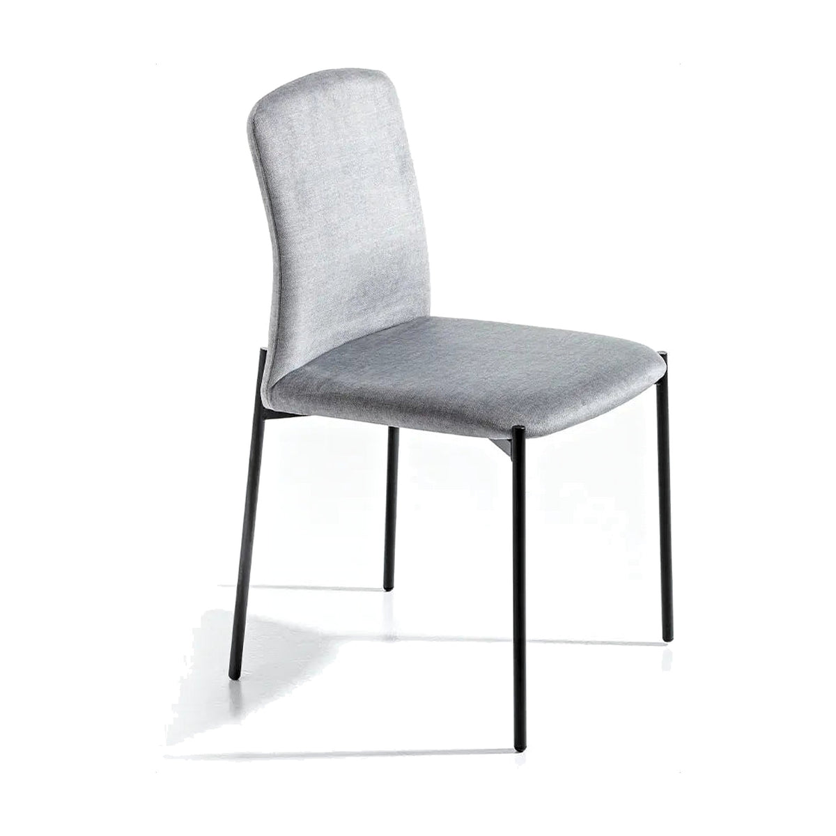 Dining Chair Coffee – Black Lacquered – Front View on White