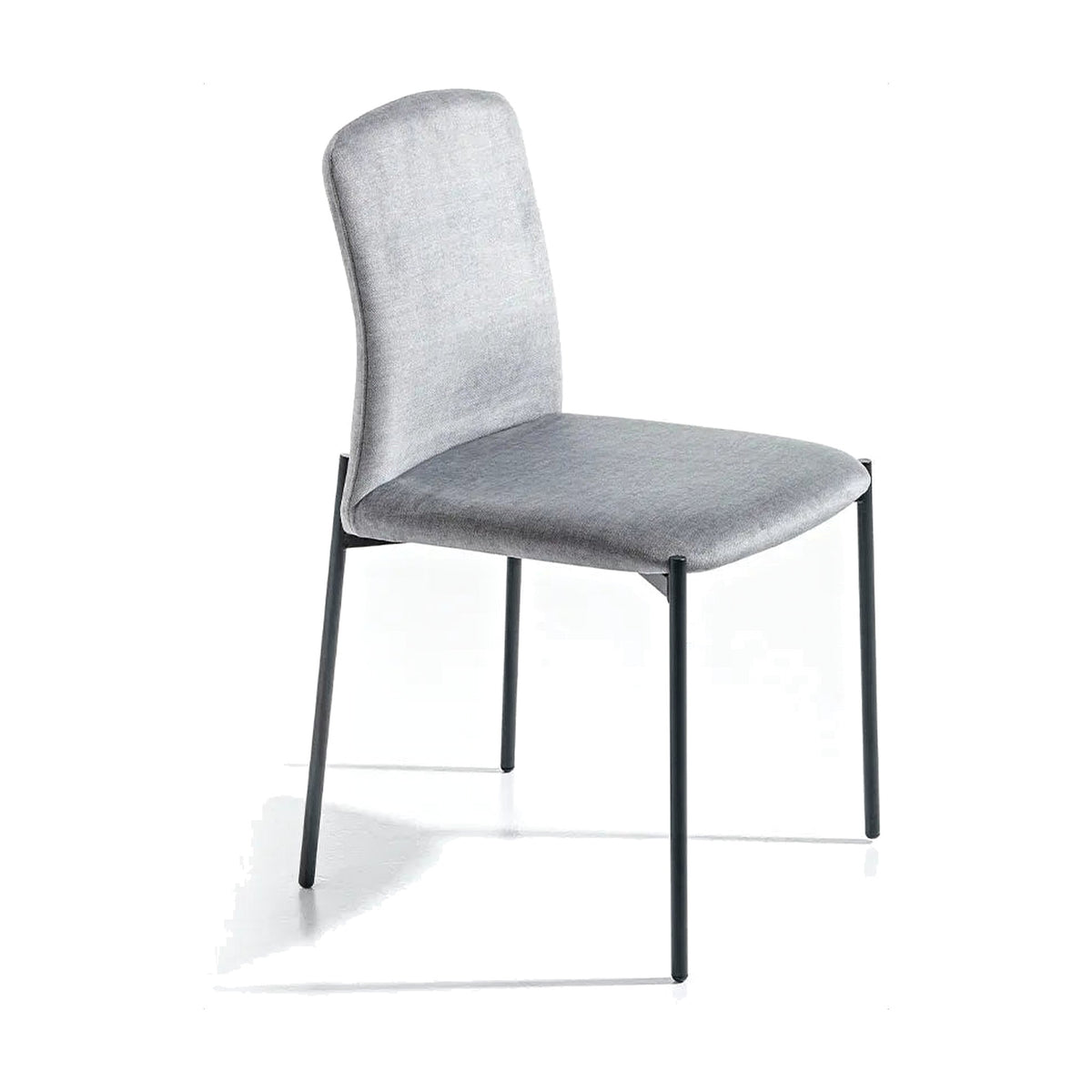Dining Chair Coffee – Graphite Lacquered – Front View on White