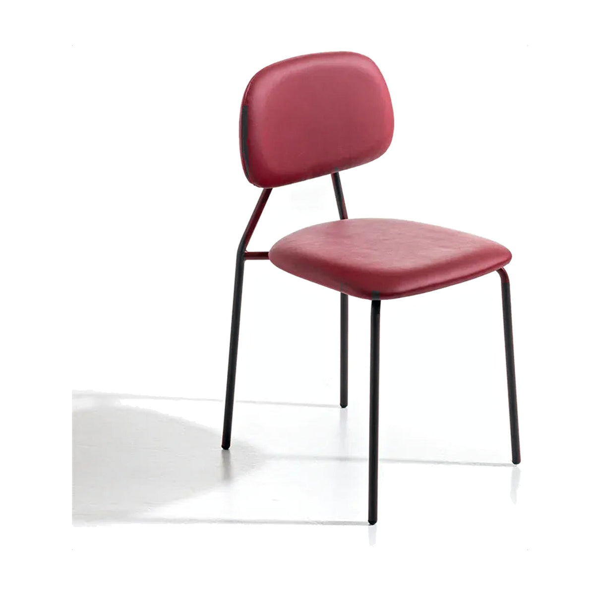 Dining Chair Sky – Black Grey Lacquered – Front View on White