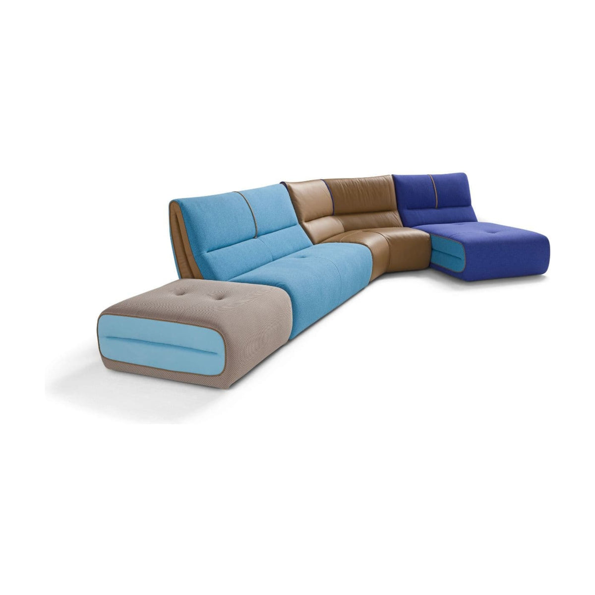 Pongo Domestica – Multicoloured Curved Configuration, Three Quarter View on White