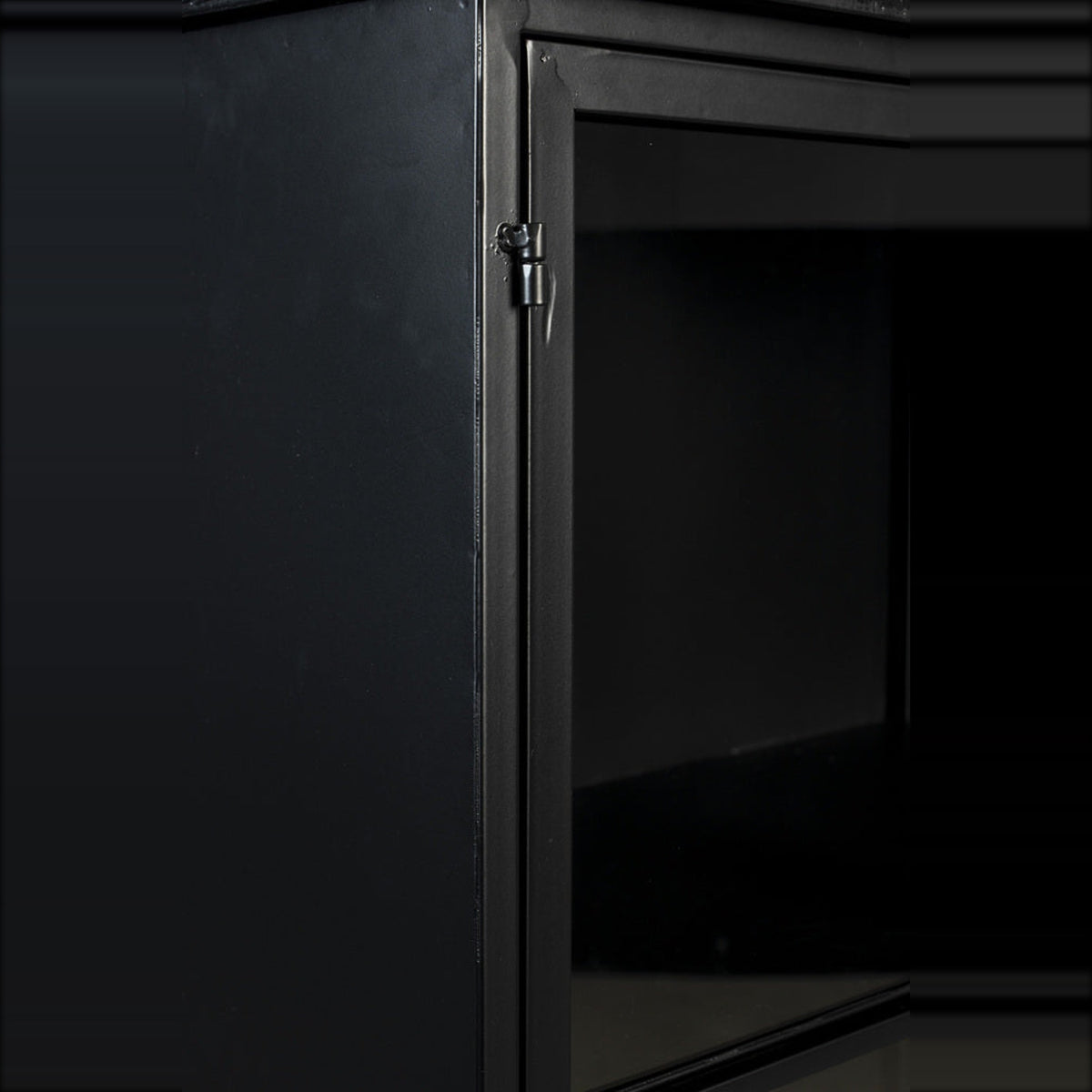 Cabinet Ferre Low Domestica – Open Glass Door Detail