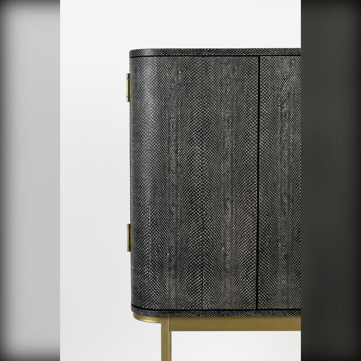 Cabinet Ava Morgana Snake Domestica – Snakeskin-Effect Door Close-up