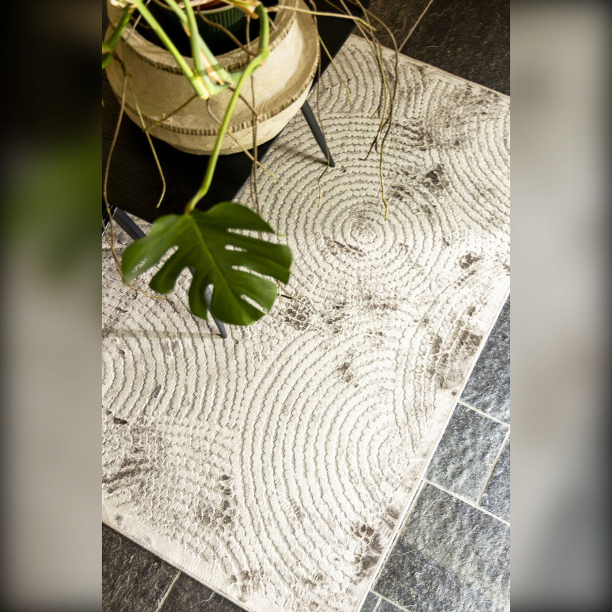 Carpet Dots 170x240 Caramel Brown Domestica – Lifestyle – Rug with Potted Plant on Slate Floor