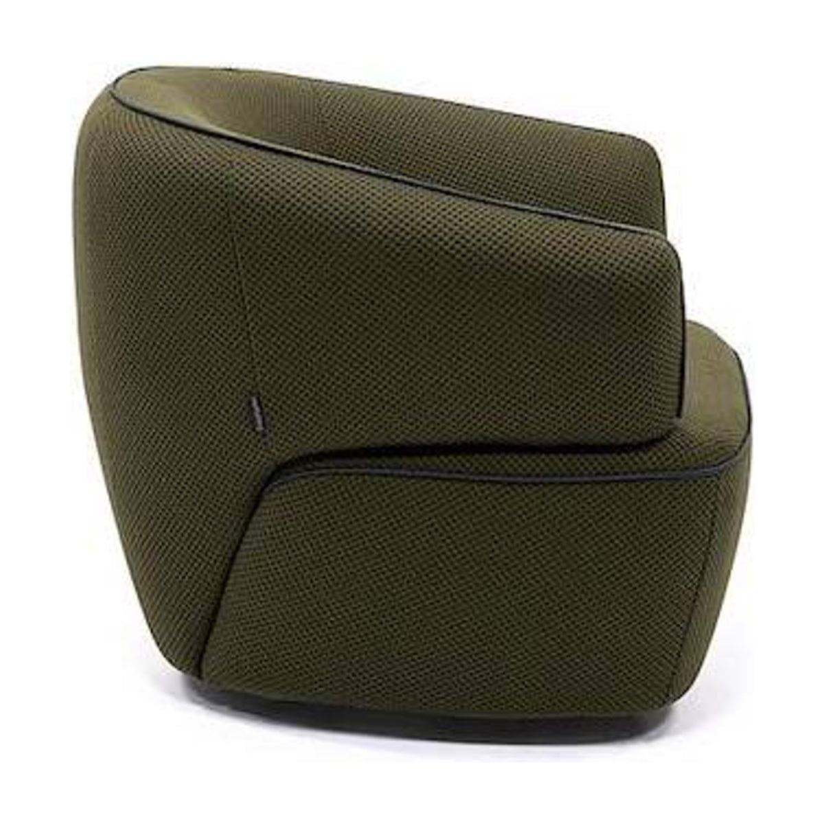Momo Domestica – Side View on White