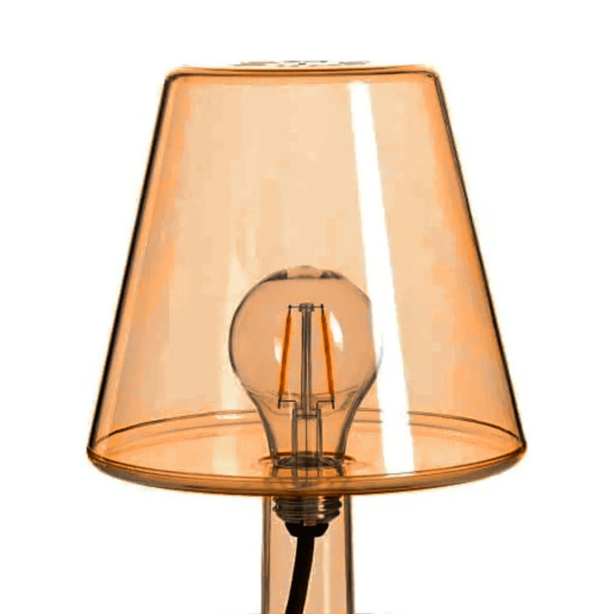 Transloetje Orange Domestica – Detail – Shade and Bulb – Colour Digitally Matched