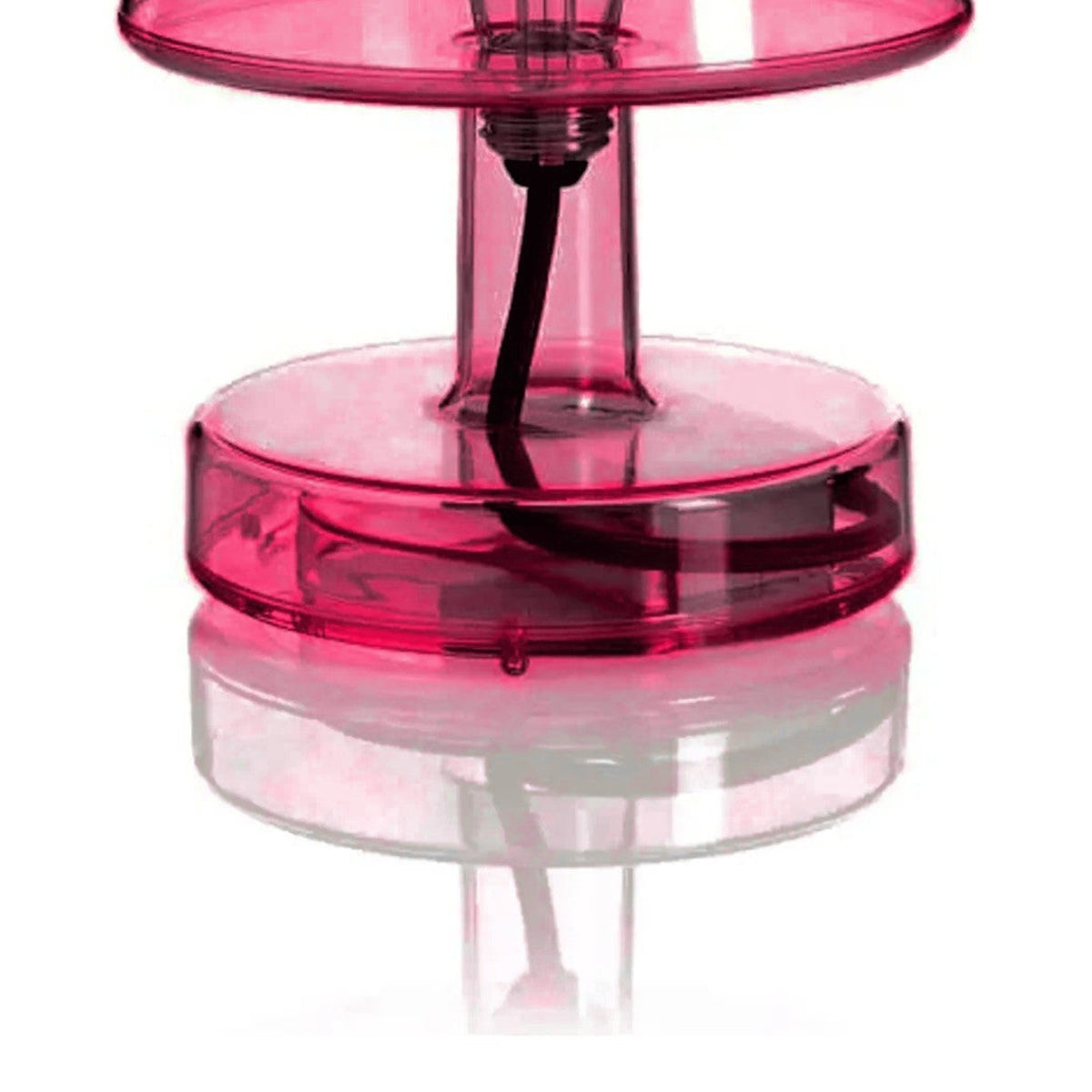 Transloetje Pink Domestica – Detail – Stem and Base – Colour Digitally Matched