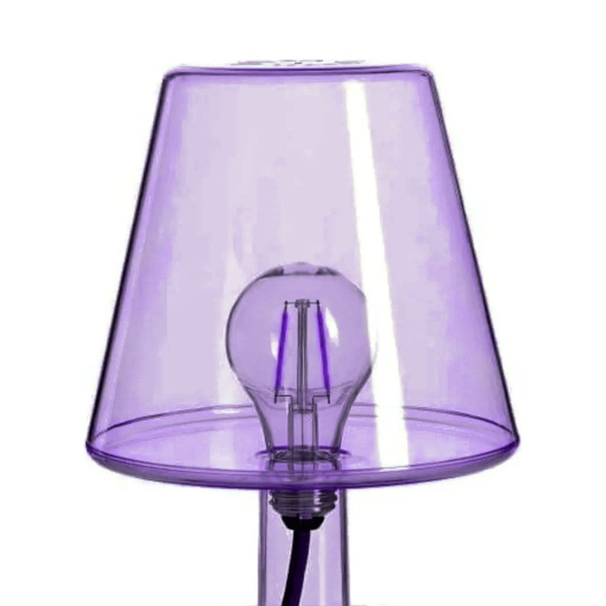 Transloetje Violet Domestica – Detail – Shade and Bulb – Colour Digitally Matched