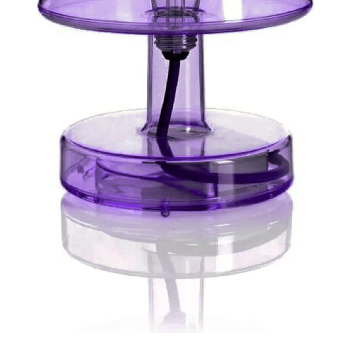 Transloetje Violet Domestica – Detail – Stem and Base – Colour Digitally Matched