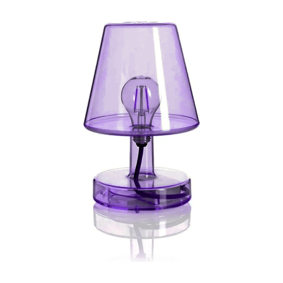 Transloetje Violet Domestica – Front View on White – Colour Digitally Matched